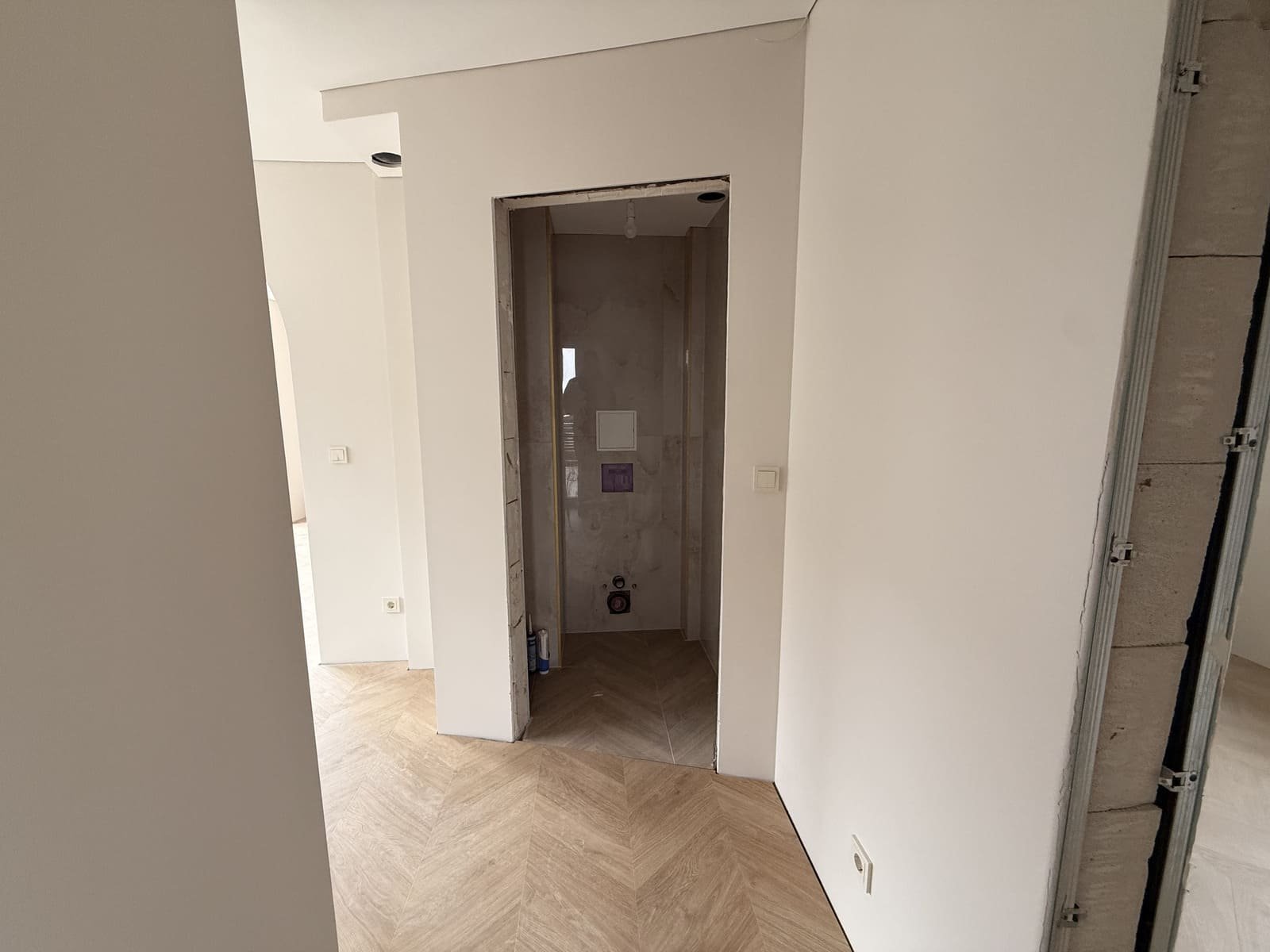 Žaibo g., Kaunas (12)