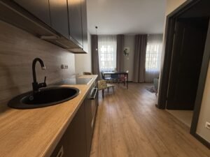 Projects - A. Mickevičiaus g., Kaunas